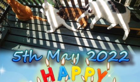 coco & fumi & Lin & Ryu