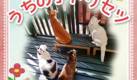 うちの子トリセツ