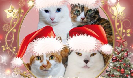 coco & fumi & Lin & Ryu