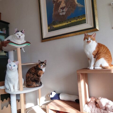 coco & fumi & Lin & Ryu