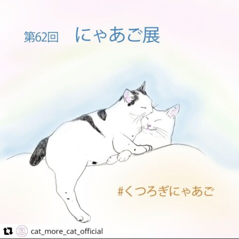 くつろぎにゃあご coco & Ryu