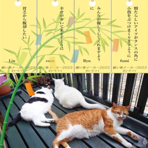 coco & fumi & Lin & Ryu