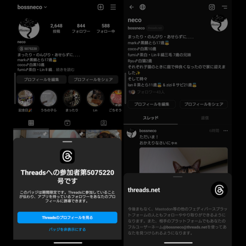 参加番号バッジ