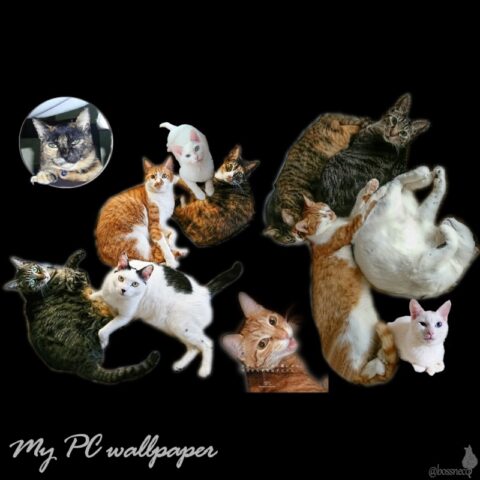 zizi & lan & mark & coco & fumi & Lin & Ryu