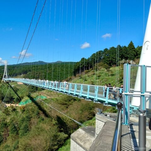 三島スカイウォーク