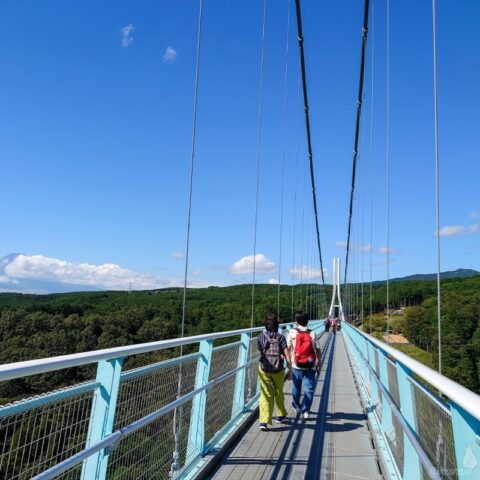 三島スカイウォーク