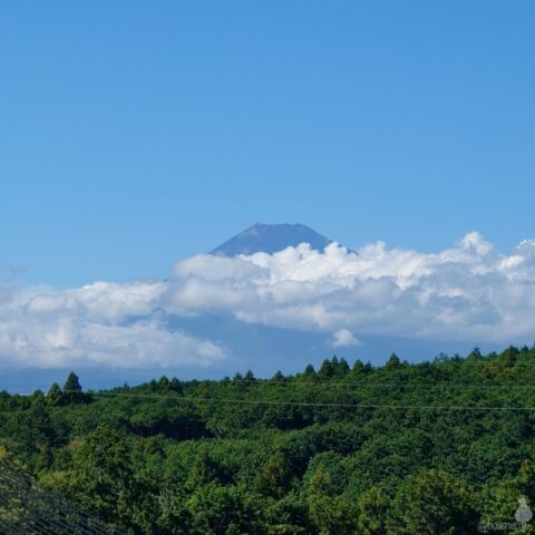 三島スカイウォーク