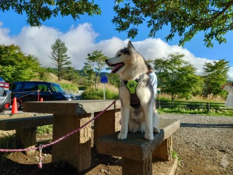 山中湖パノラマ台