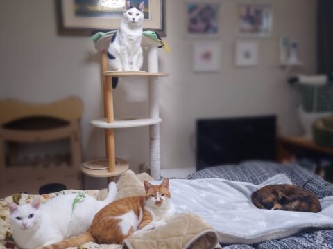 coco & fumi & Lin & Ryu