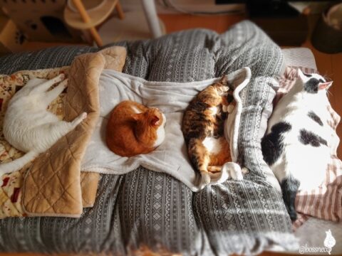 coco & fumi & Lin & Ryu