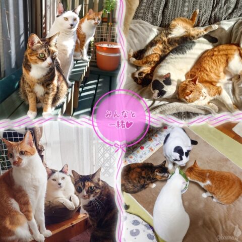 coco & fumi & Lin & Ryu