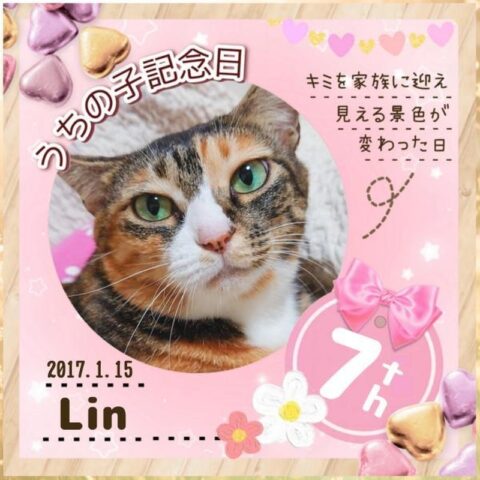 Lin