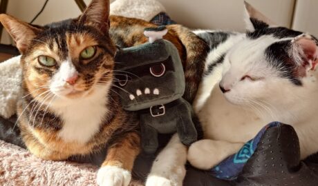 coco & Lin & デリ丸