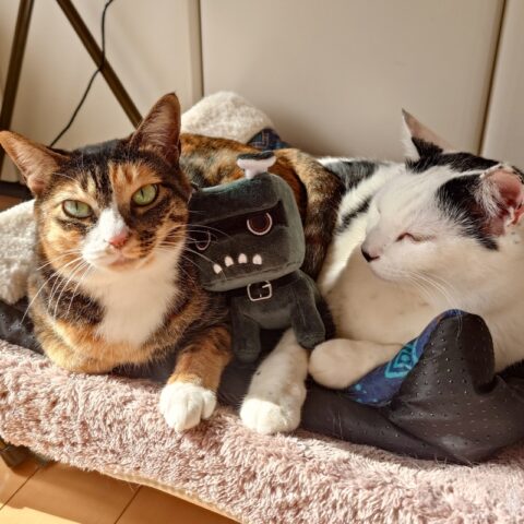 coco & Lin & デリ丸