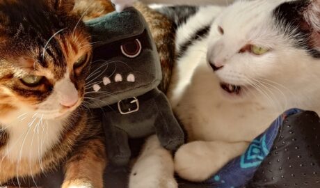 coco & Lin & デリ丸