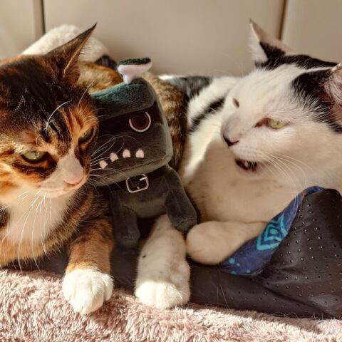 coco & Lin & デリ丸