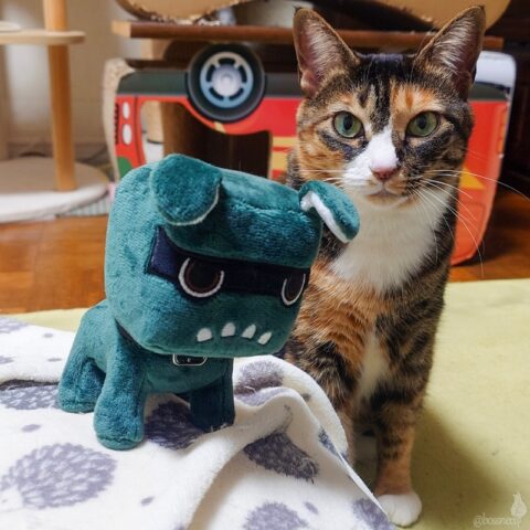 Lin & デリ丸くん