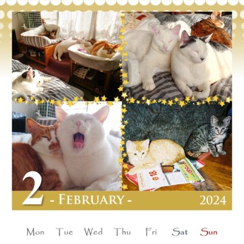 lan & mark & coco & fumi & Lin & Ryu