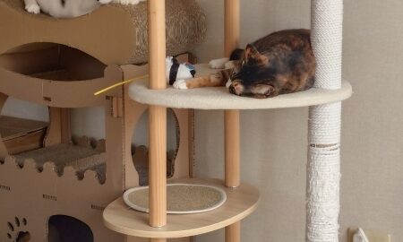 coco & fumi & Lin & Ryu