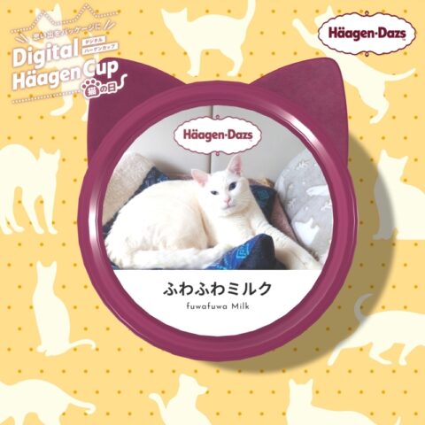 デジタルハーゲンカップ