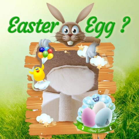 Easter Egg