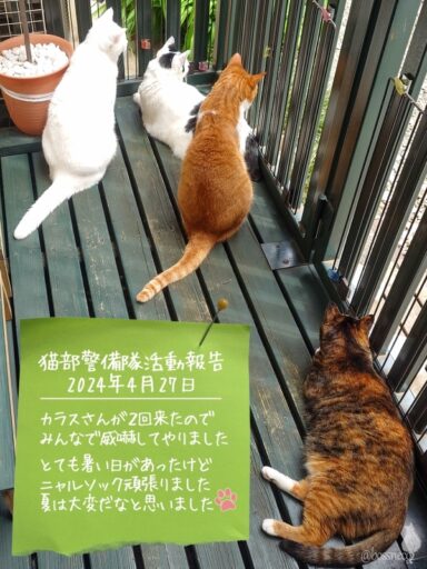 coco & fumi & Lin & Ryu