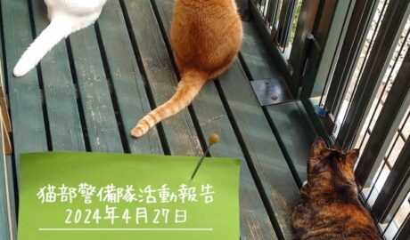 coco & fumi & Lin & Ryu