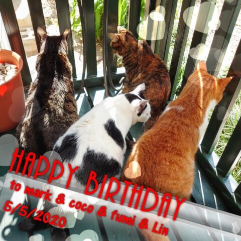 2020年お誕生日カード