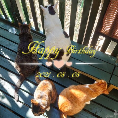 2021年お誕生日カード