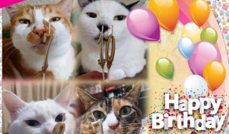 2023年お誕生日カード