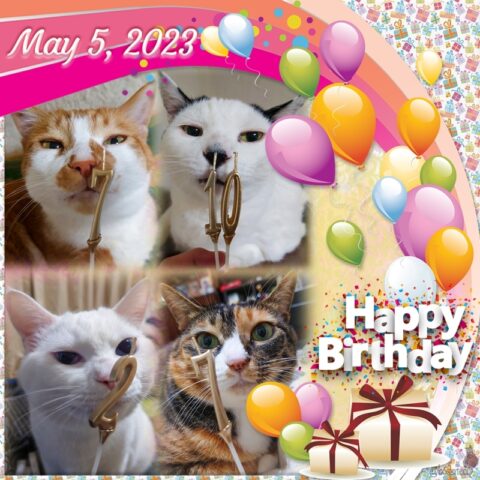 2023年お誕生日カード