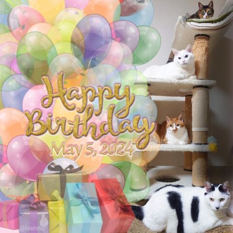 coco & fumi & Lin & Ryu