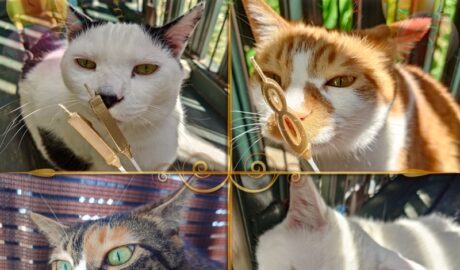 coco & fumi & Lin & Ryu