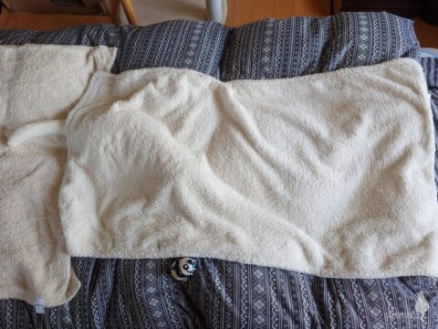 coco & fumi & Lin & Ryu