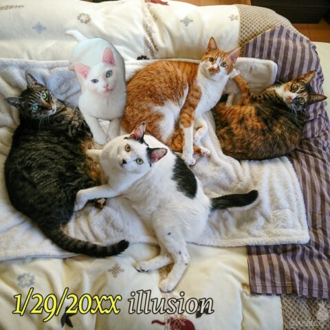 mark & coco & fumi & Lin & Ryu