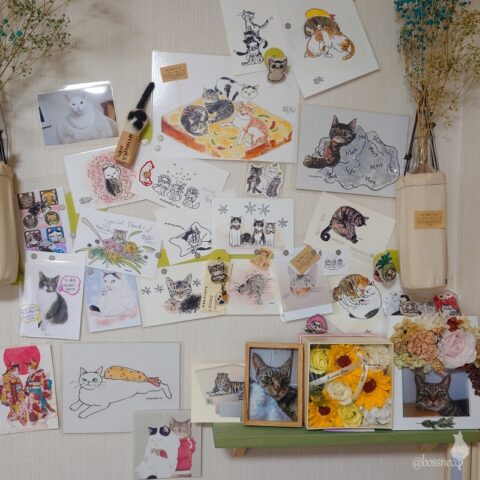 我が家のギャラリー