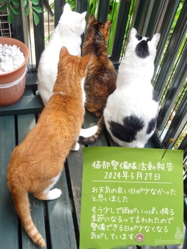 coco & fumi & Lin & Ryu