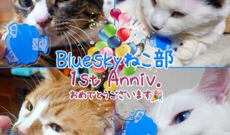 coco & fumi & Lin & Ryu