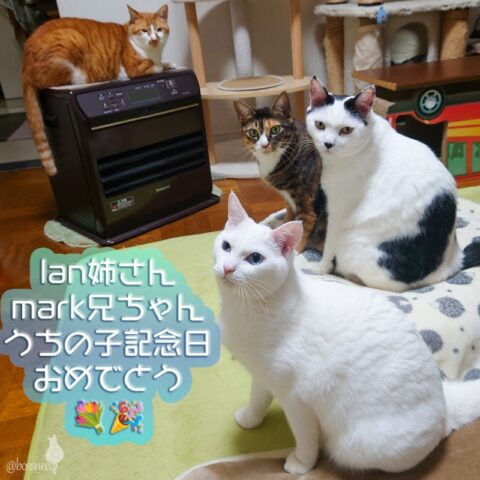 coco & fumi & Lin & Ryu