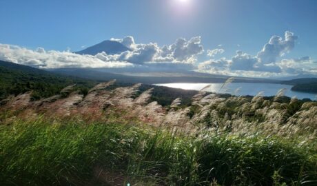 山中湖と富士山