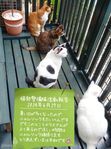 coco & fumi & Lin & Ryu