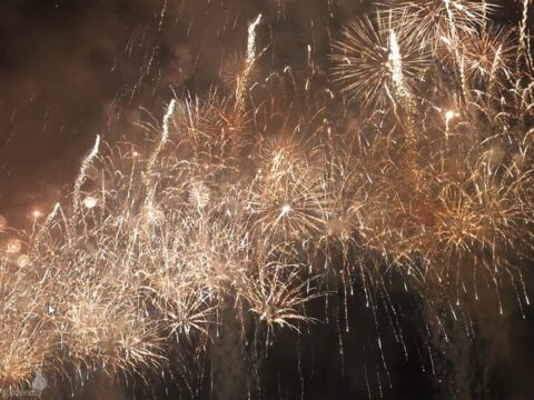 TOKYO シティポップ 花火 2024