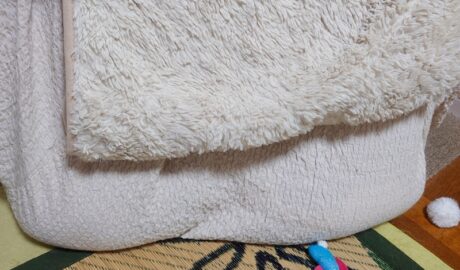 coco & fumi & Lin & Ryu