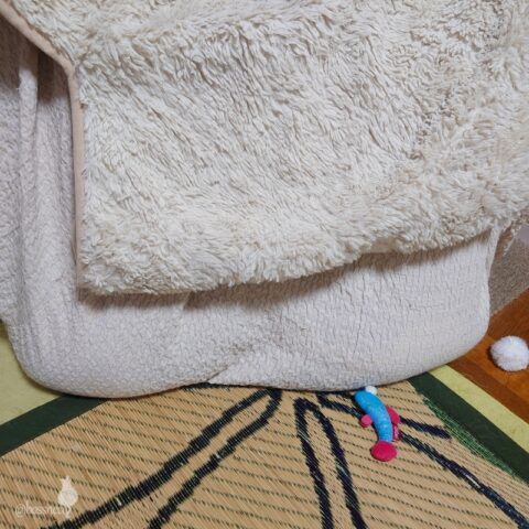 coco & fumi & Lin & Ryu