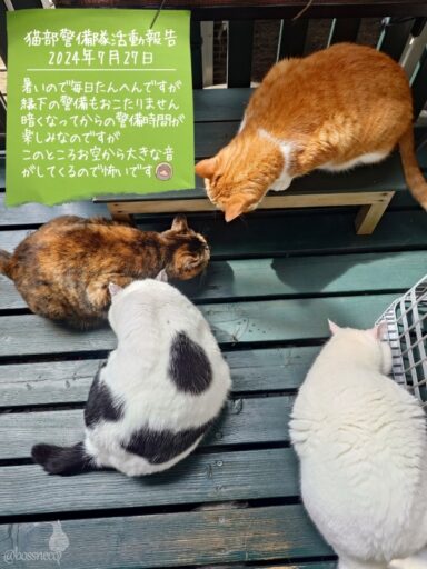 coco & fumi & Lin & Ryu