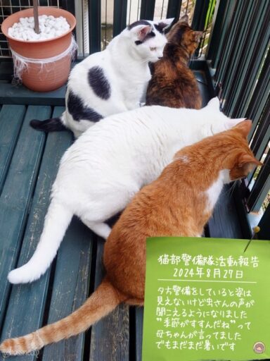 coco & fumi & Lin & Ryu