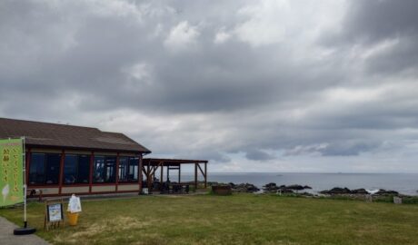 漁港食堂 だいぼ