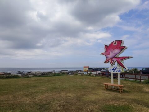 漁港食堂 だいぼ