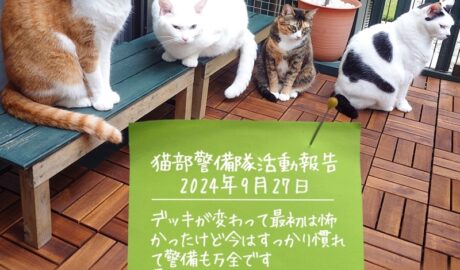 coco & fumi & Lin & Ryu