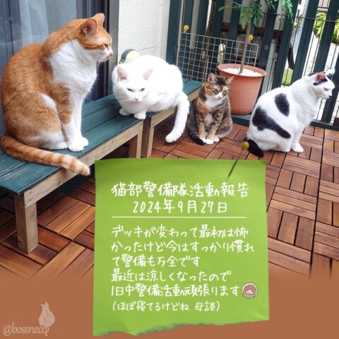 coco & fumi & Lin & Ryu